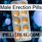 Male Erection Pills levitra1